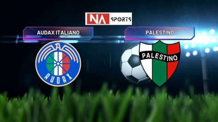Tactical Postmortem: How Indiscipline Shattered Audax Italiano's Pitch Control Against Palestino