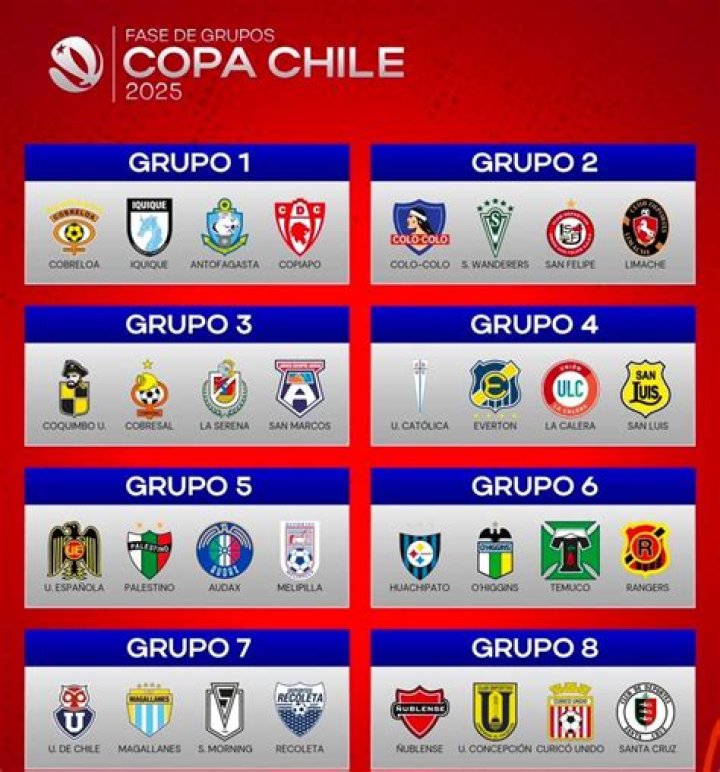 Fan Verdict: Palestino vs Audax Italiano Copa Chile Post-Match Poll Analysis