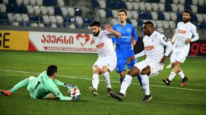 Fan Verdict: Dinamo Batumi vs Dinamo Tbilisi Post-Match Poll Analysis