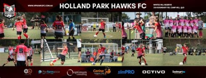 The Silent War: Tactical Secrets Behind Holland Park Hawks vs Logan Lightning in Queensland Premier League 1