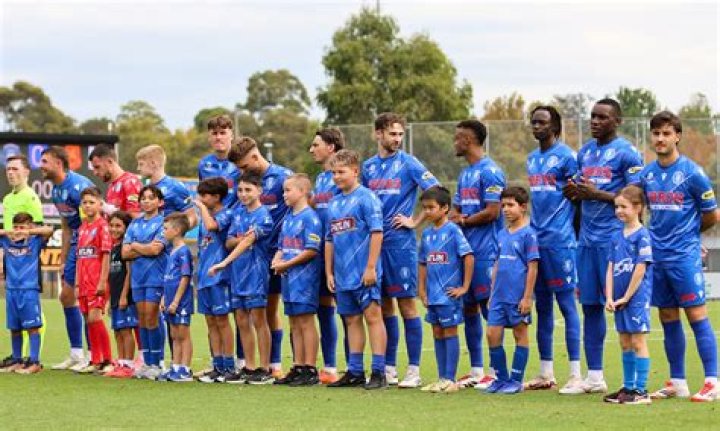 The Tactical Silence: How Formations and Substitutions Reshaped the Dandenong City FC vs Avondale FC Clash